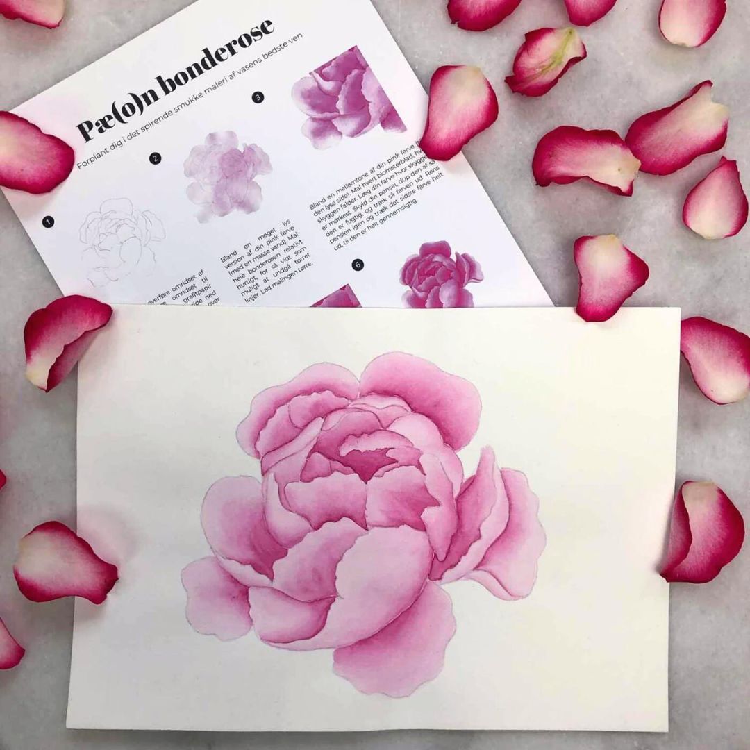 lær at male bonderose med akvarelmaling pæon med skygger