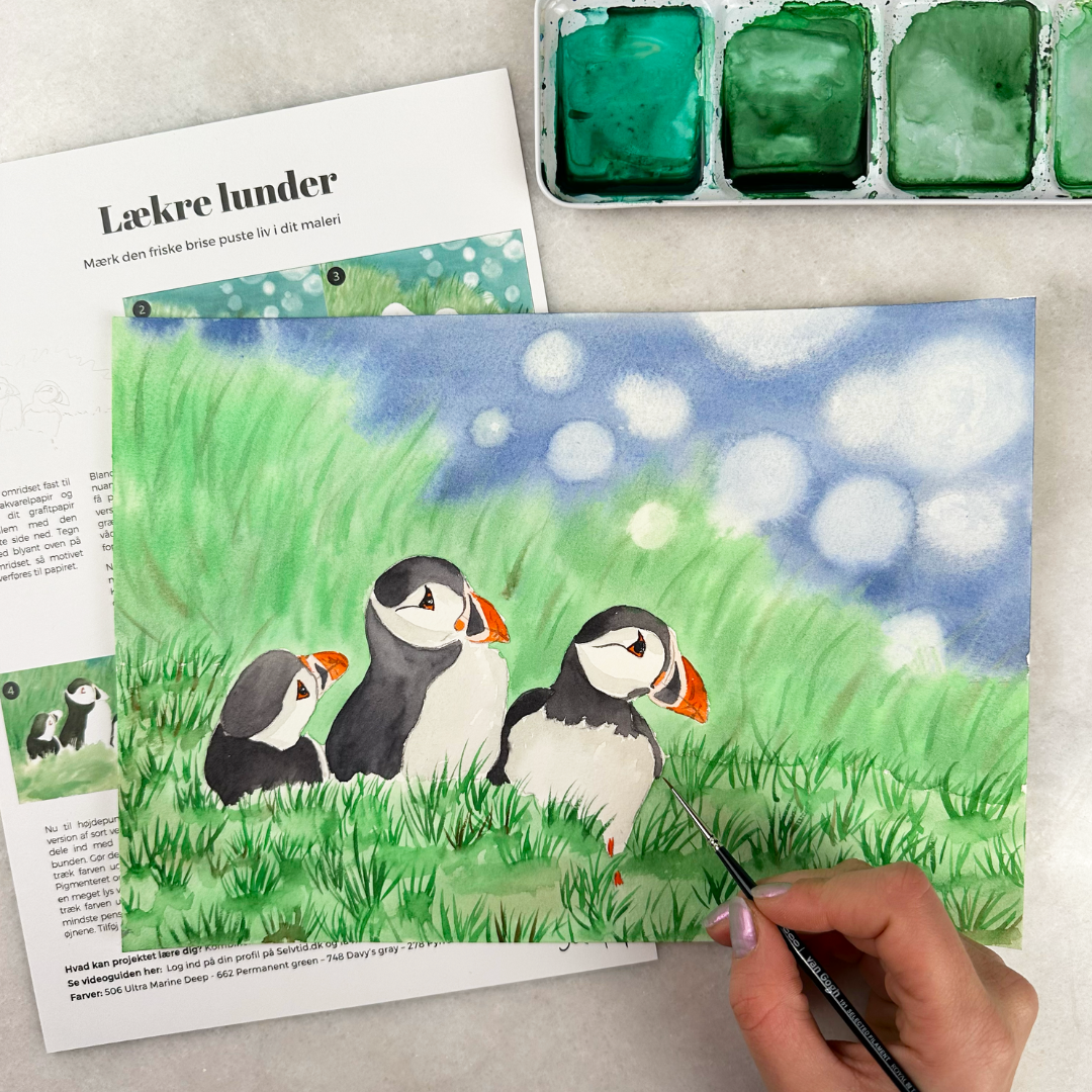 Digitalboks: Island boksen (februar 2024)