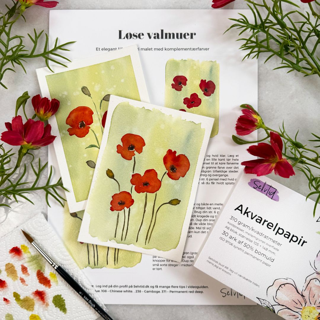 Sommer boksen (juli 2024)