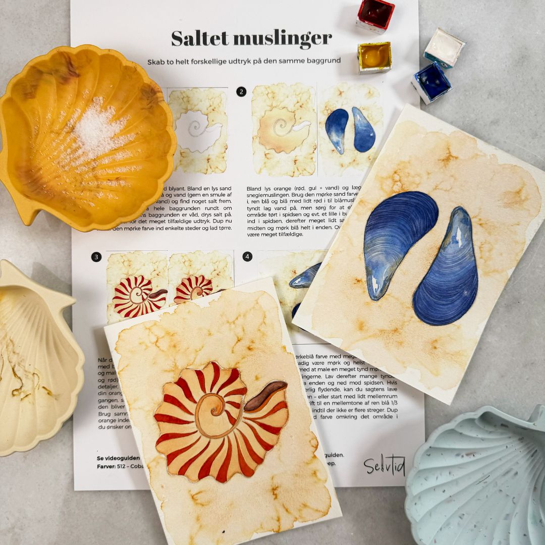 Sommer boksen (juli 2024)