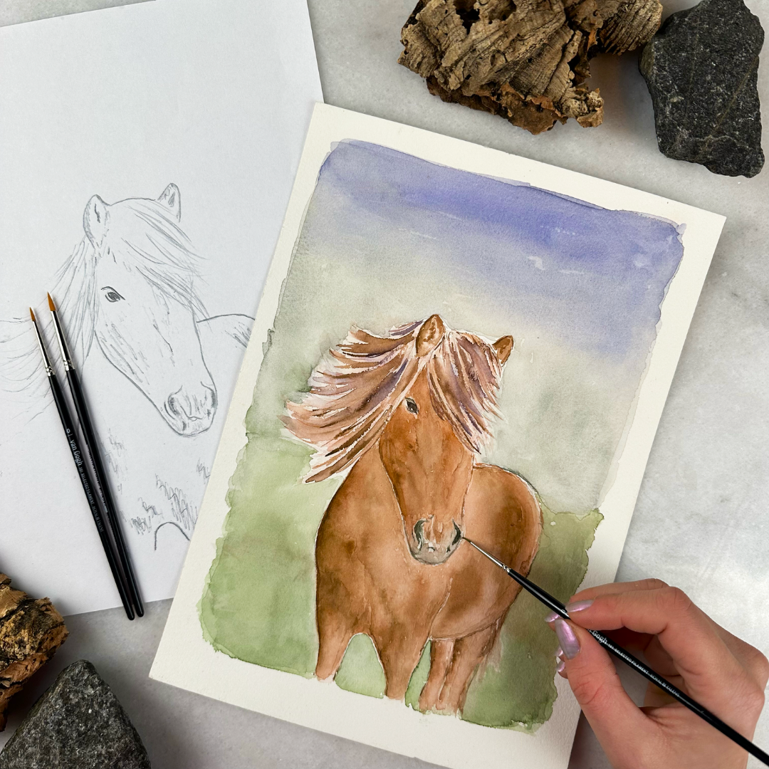 Digitalboks: Island boksen (februar 2024)