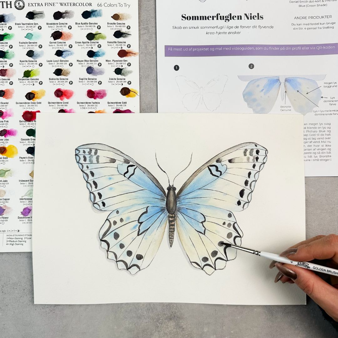 Stelling boksen (februar 2025)