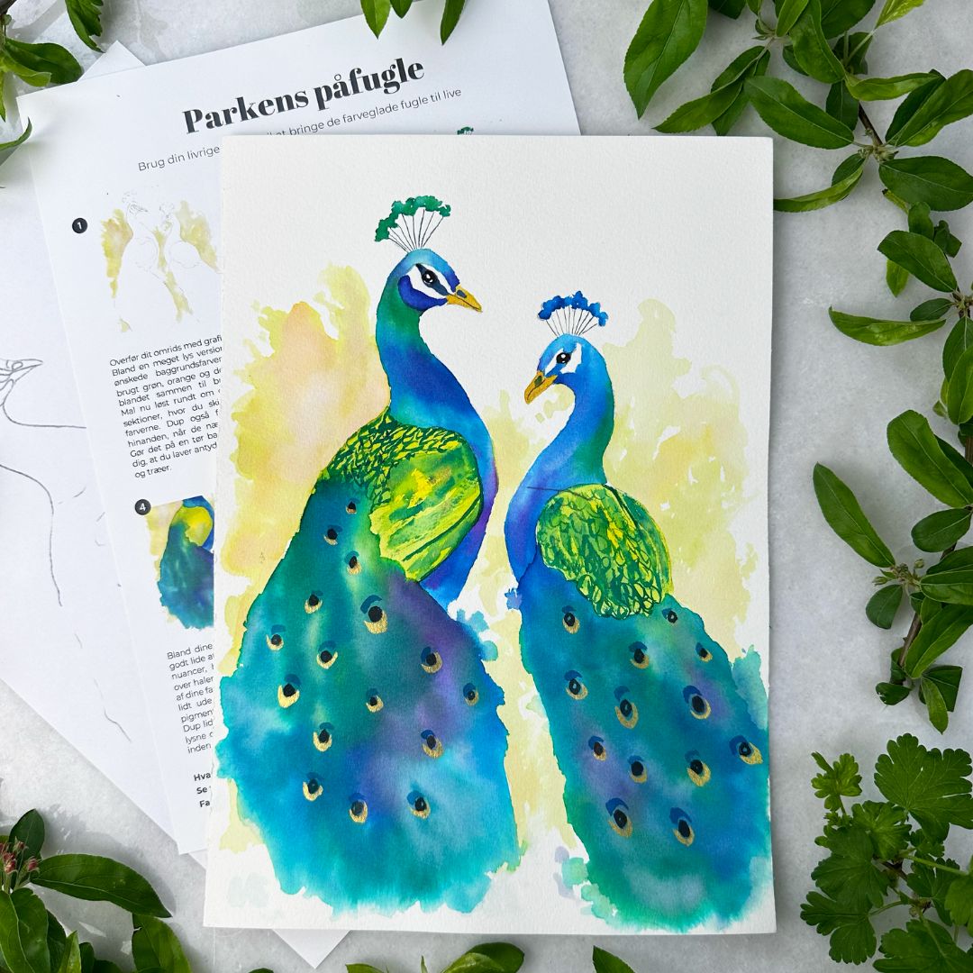 Digitalboks: Tivoli boksen (maj 2024)