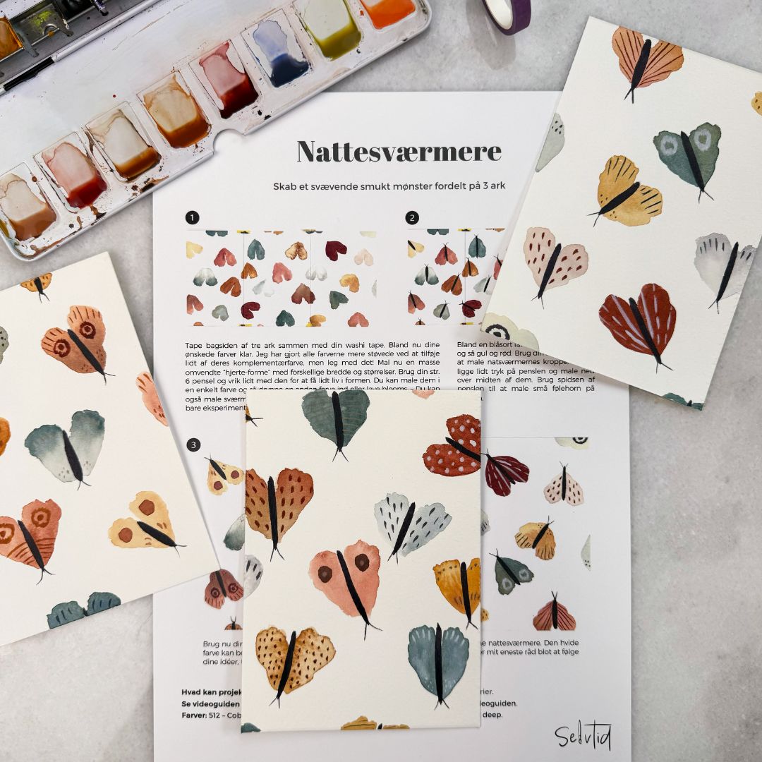 Sommer boksen (juli 2024)