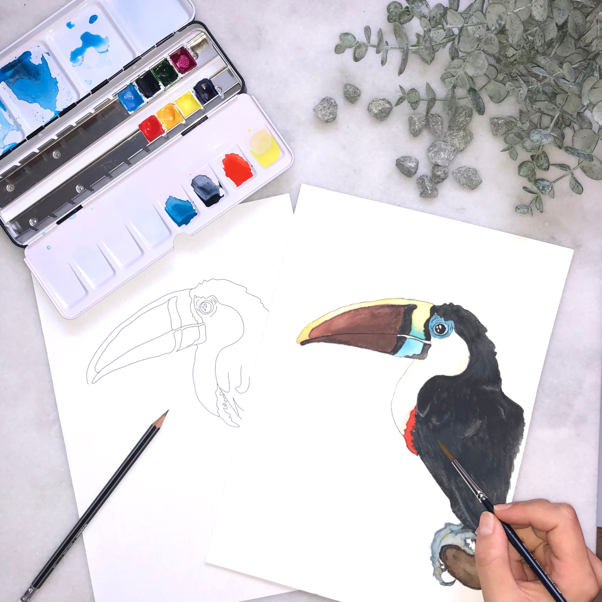 Digitalboks: Intro boks 1 & 2