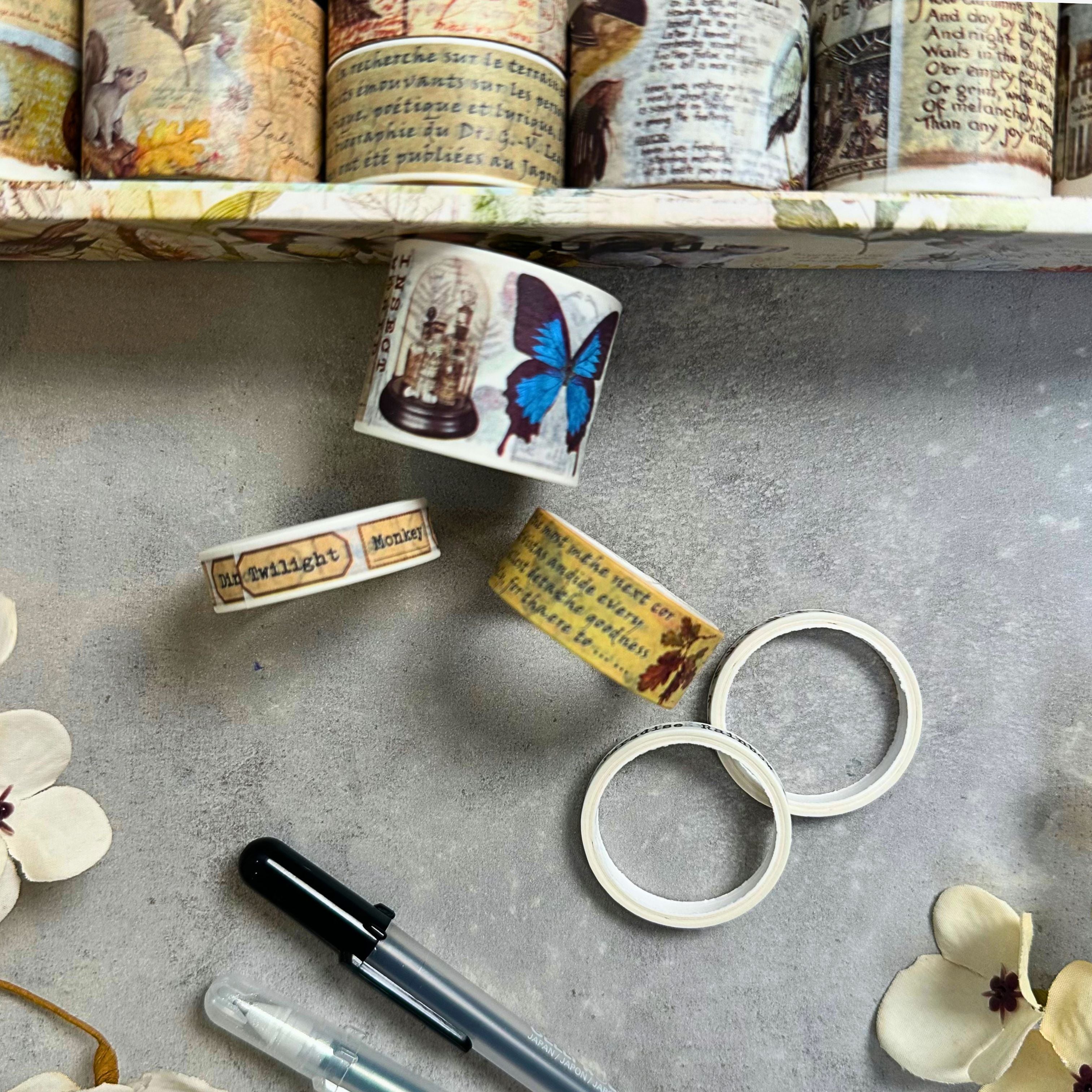Æske med naturhistorisk washi tape