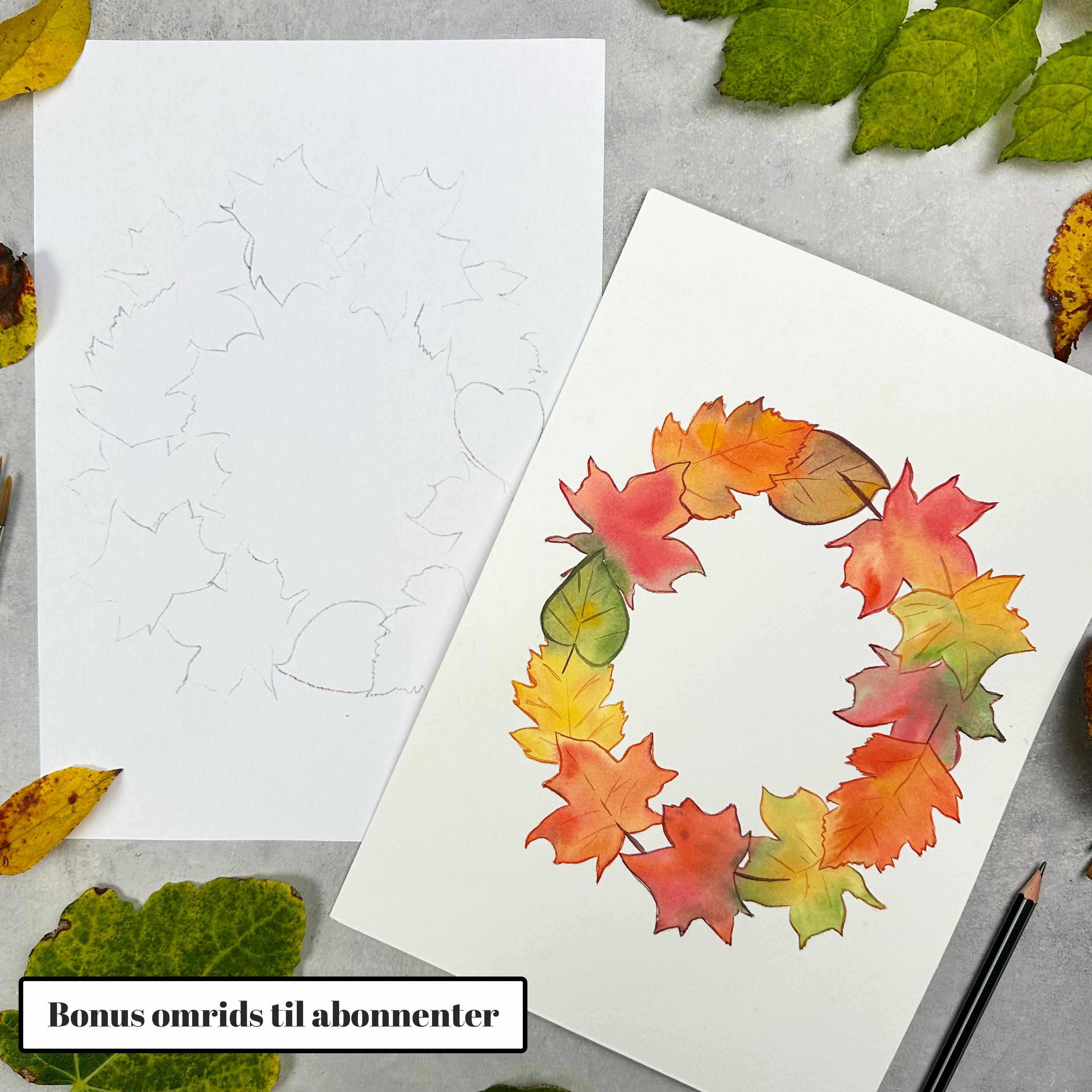 Abonnement uden intro bokse