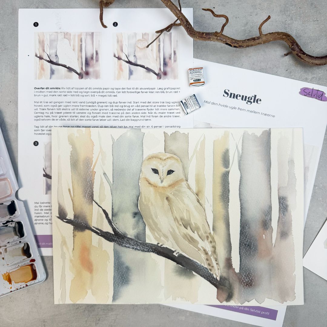 Abonnement uden intro bokse