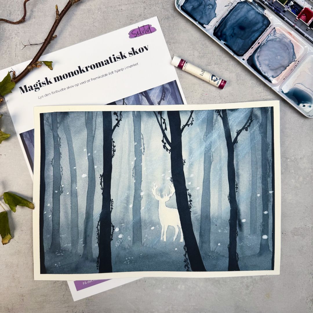 Abonnement uden intro bokse