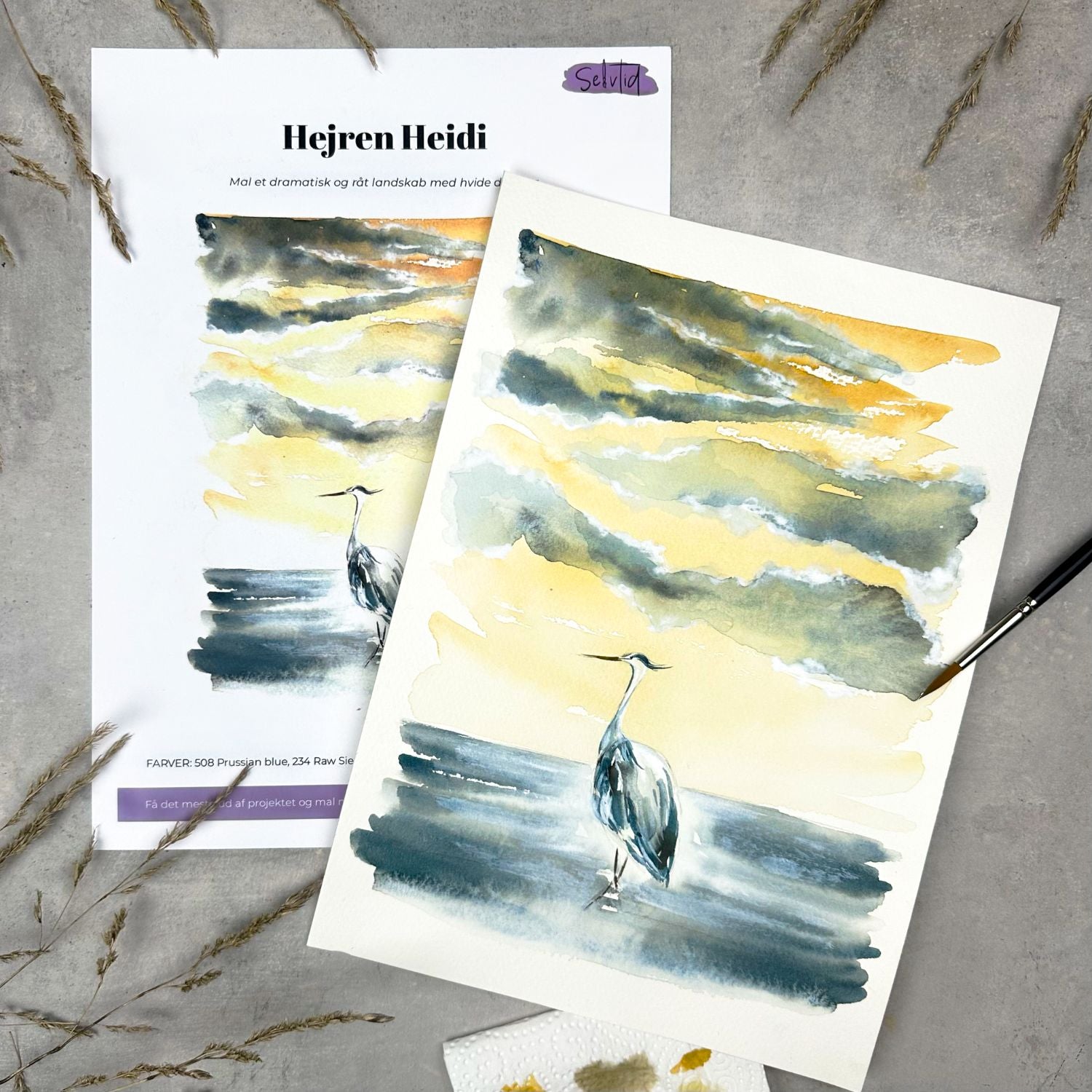 Vesterhavs boksen (marts 2026)