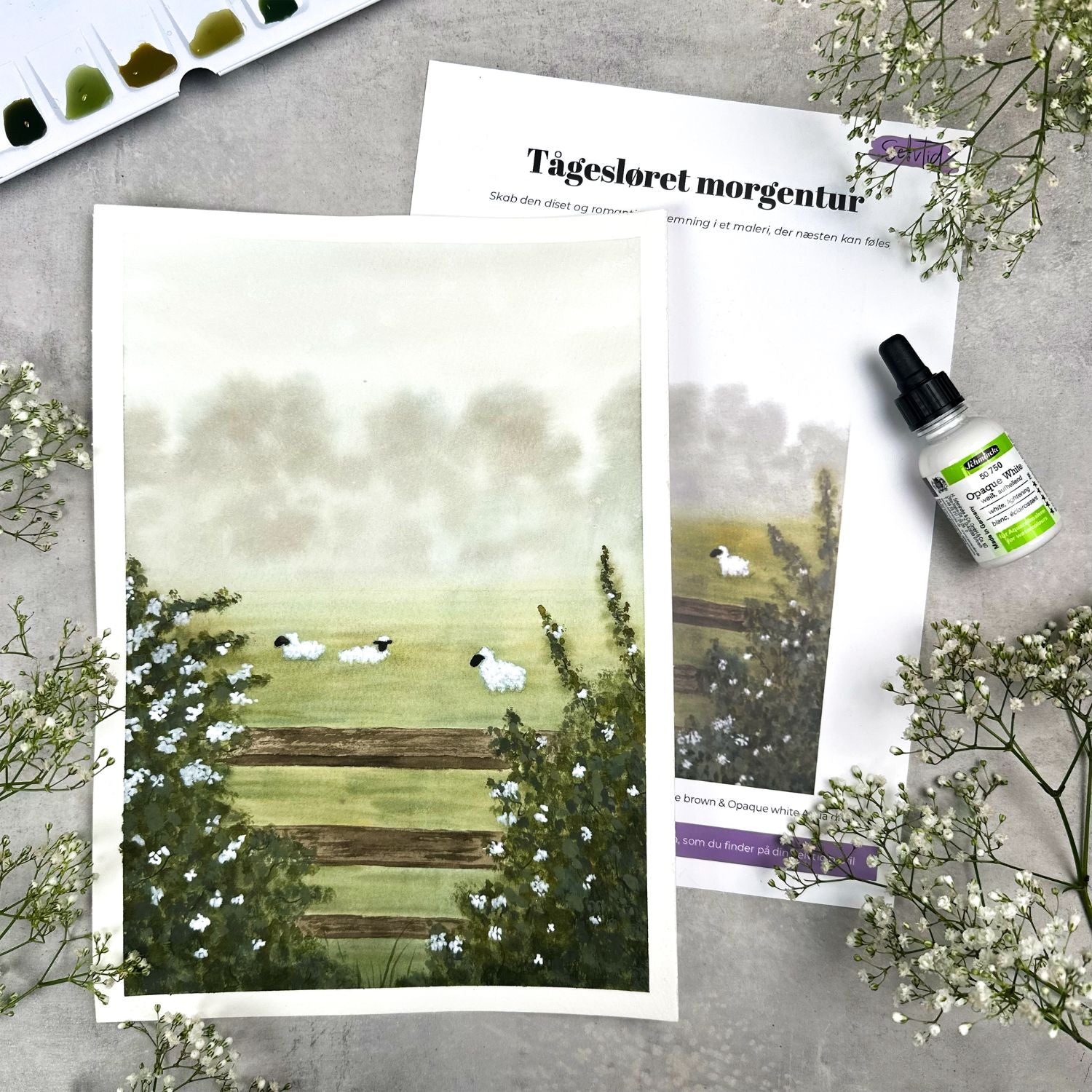 Vesterhavs boksen (marts 2026)