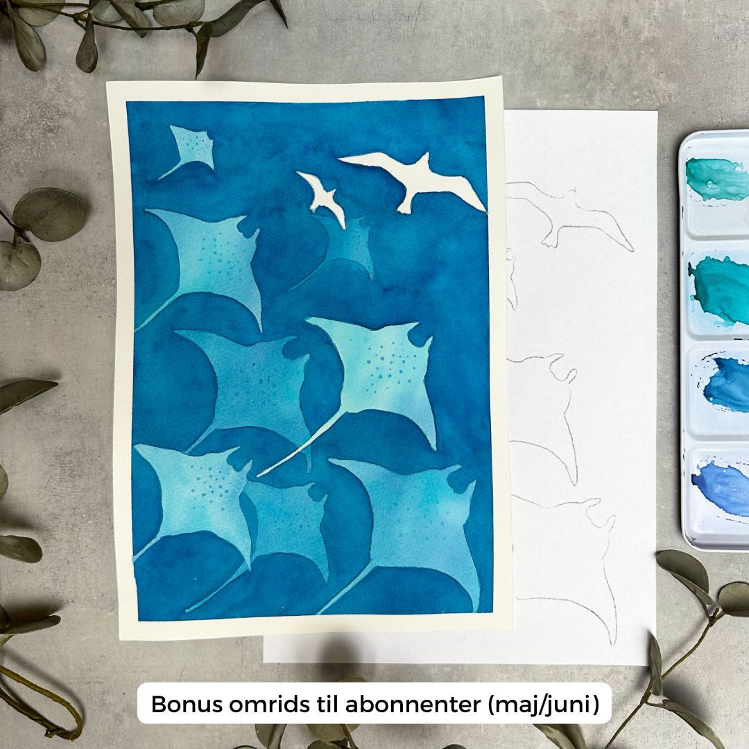 Havets boks (maj 2025)