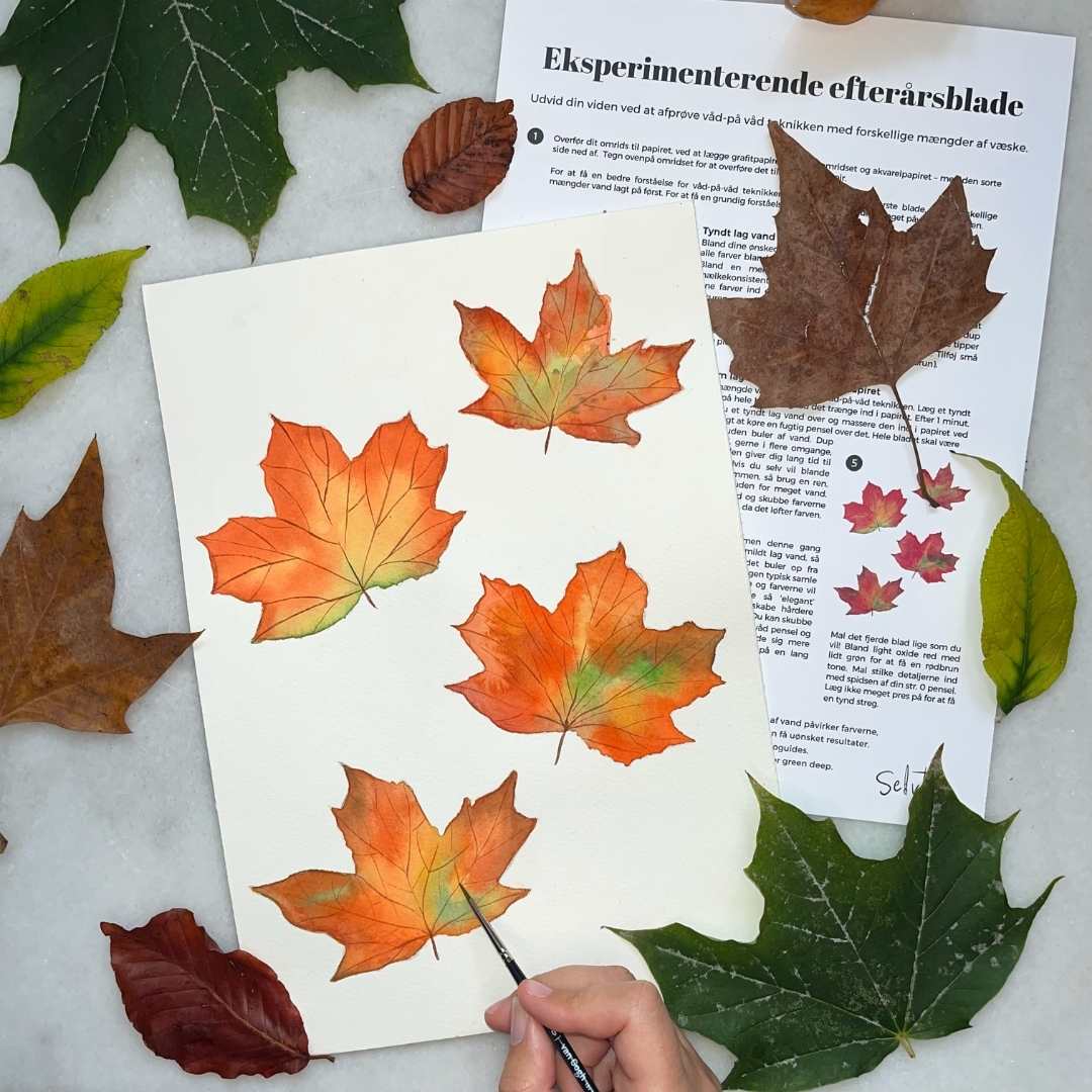 Digitalboks: Efterårsboksen (Oktober 2022)