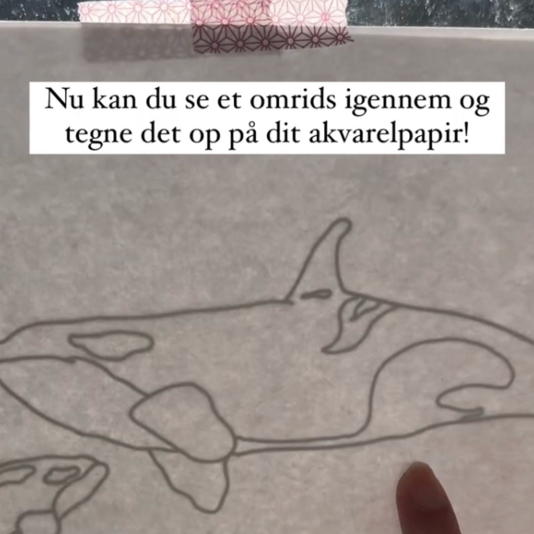 Sådan overfører du et omrids uden grafitpapir