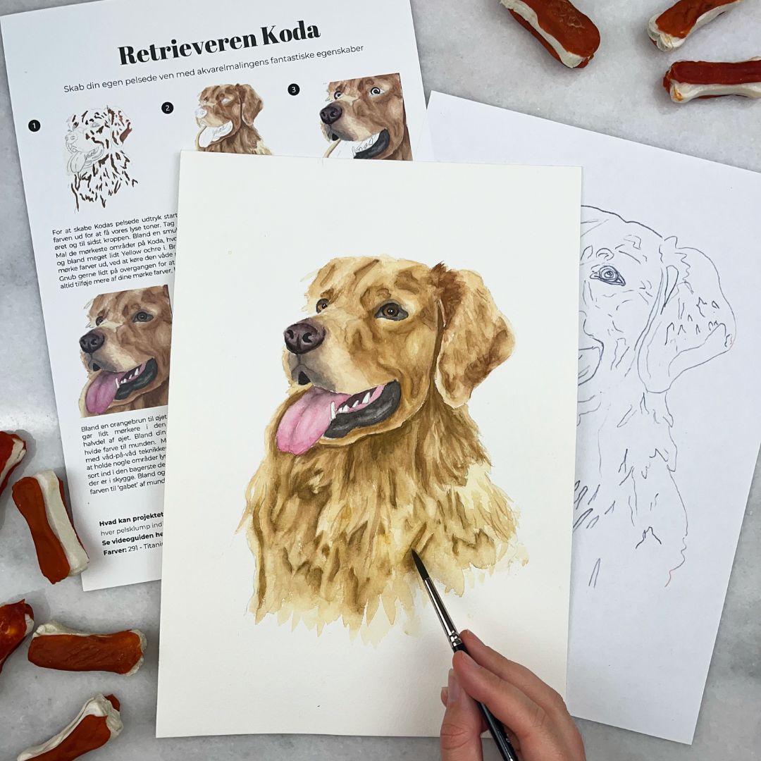 lær at male en golden retriever hund med akvarelmaling selvtid juni boks