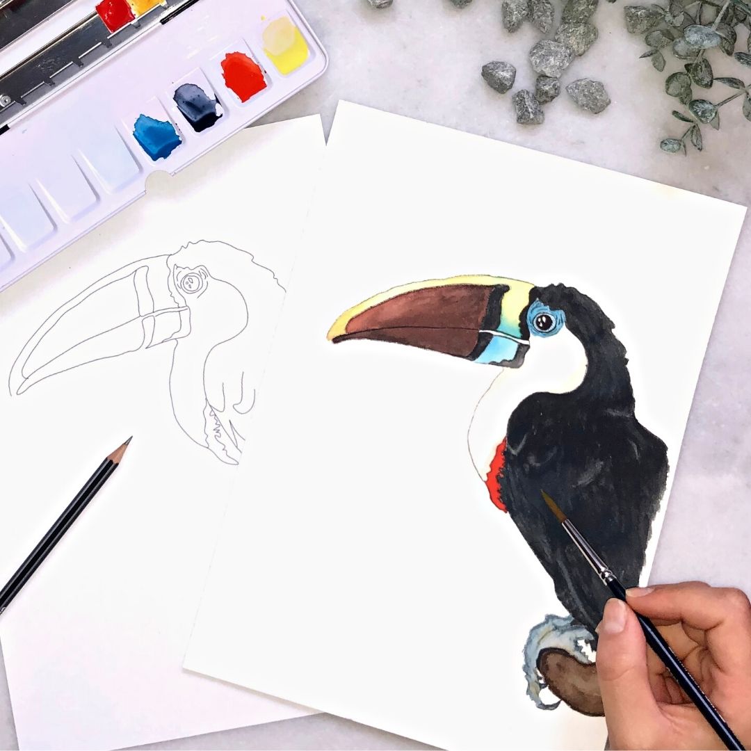 lær at male en tukan med akvarelmaling introboks 2