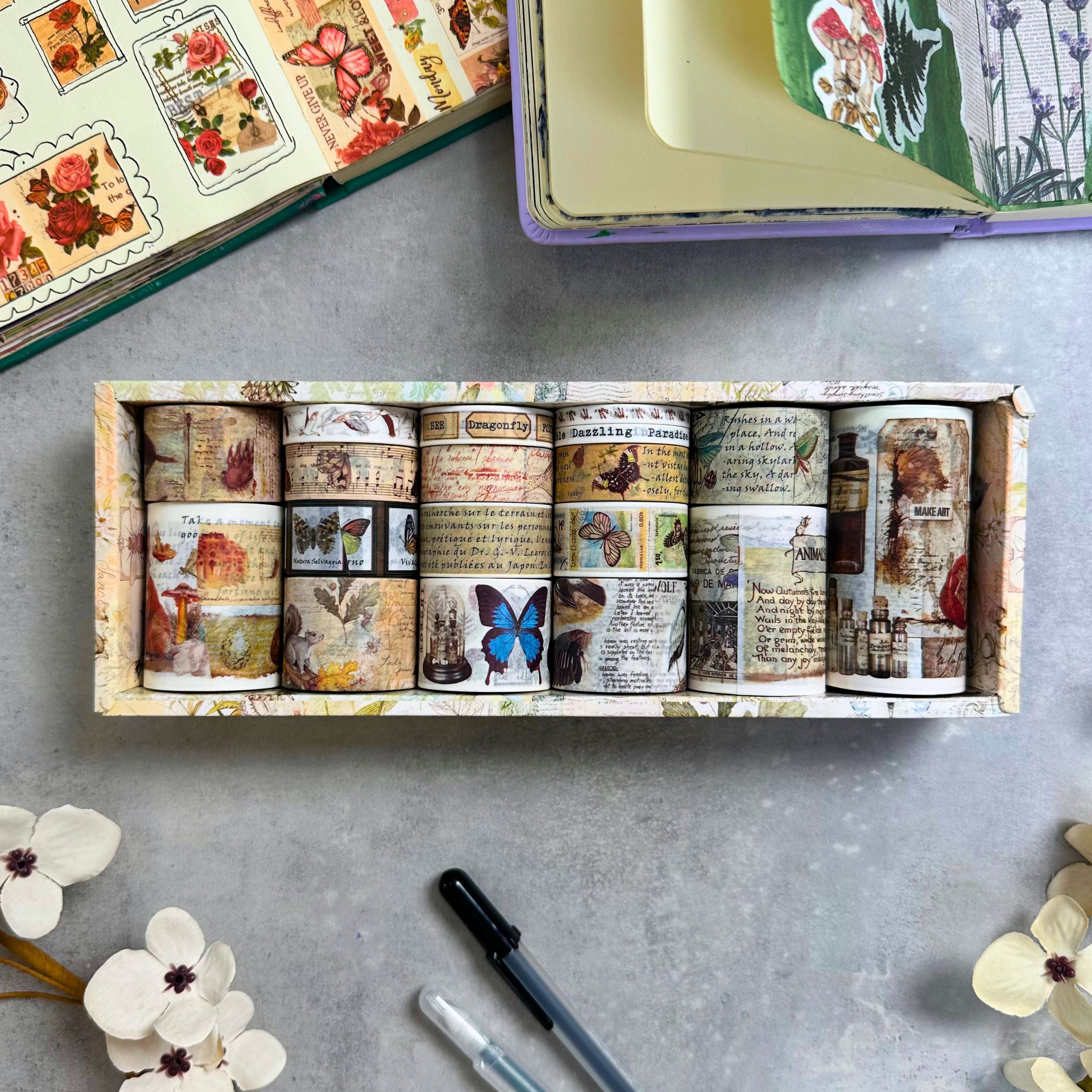Æske med naturhistorisk washi tape