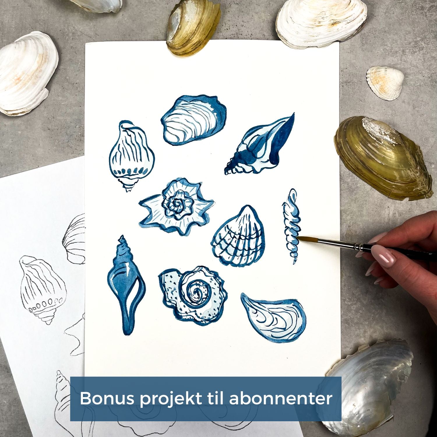 Vesterhavs boksen (marts 2026)